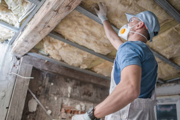 Best Insulation Replacement Services  in Marmet, WV