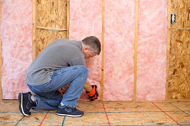 Best Crawl Space Insulation  in Marmet, WV
