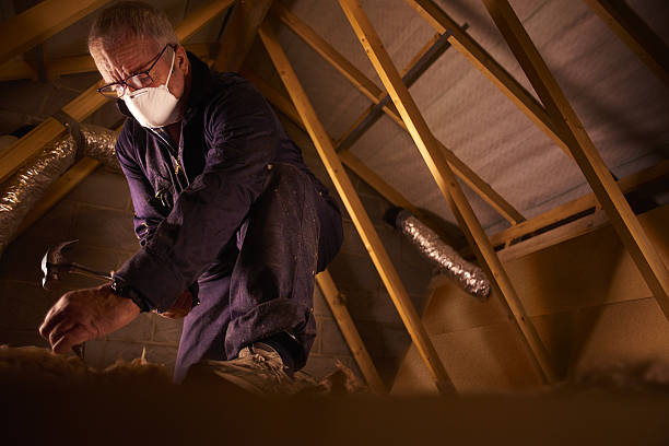 Best Soundproof Insulation Installation  in Marmet, WV