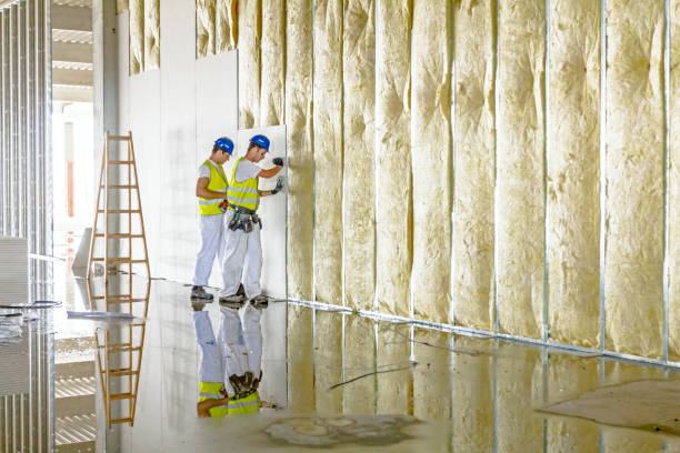 Best Commercial Insulation Contractor  in Marmet, WV